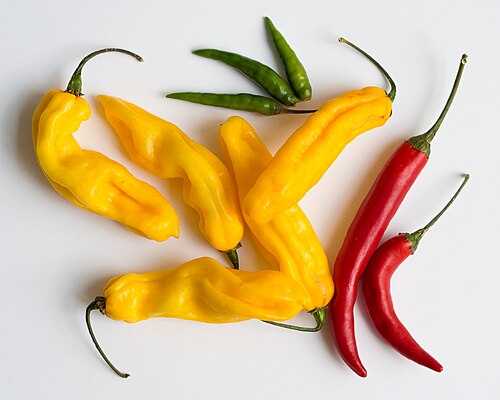 Many Hot Chilli Peppers